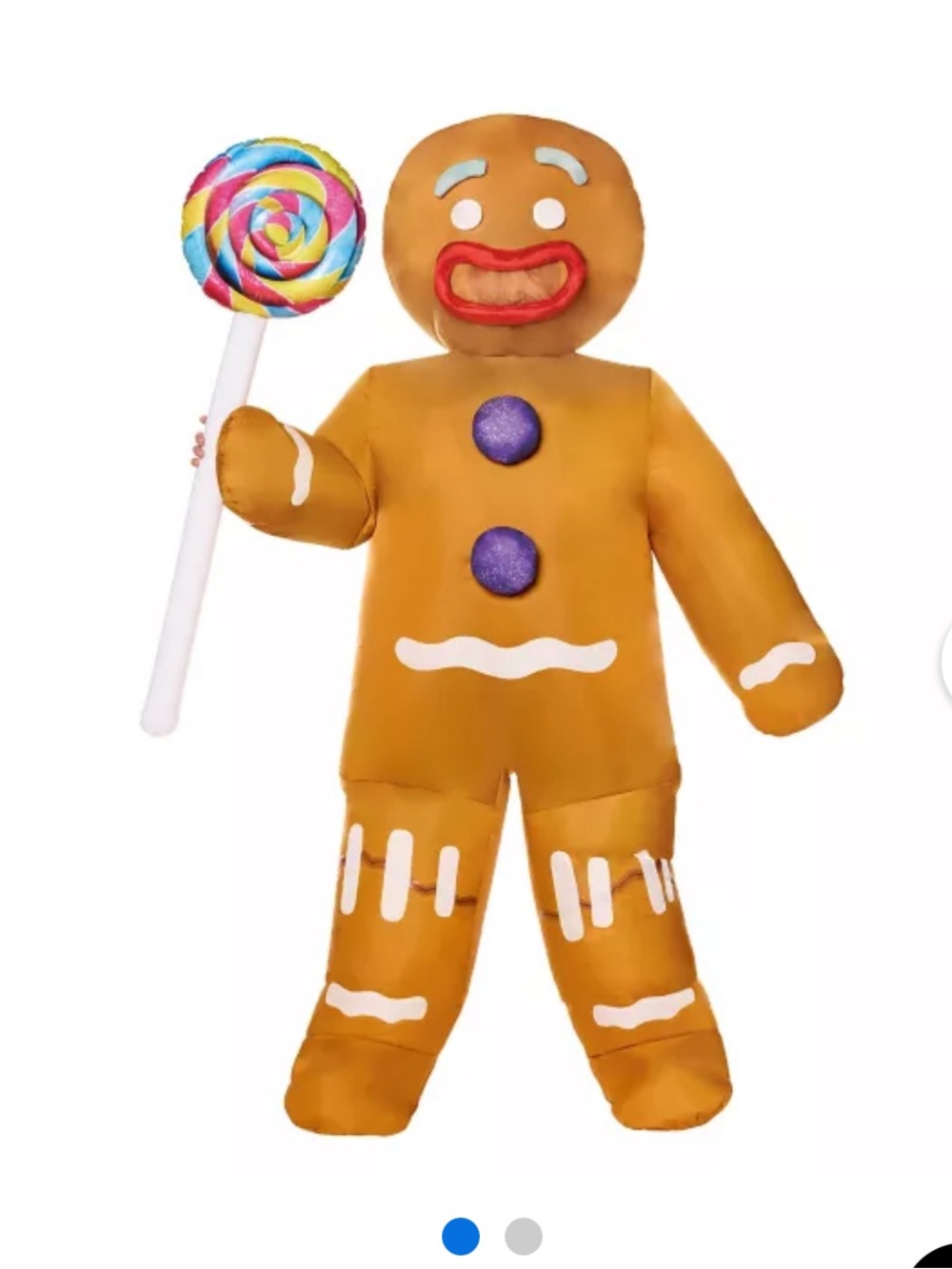 Adult Shrek Gingerbread Man Costume